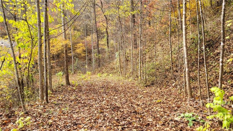 Property image 3 at 22 A Campbell Mountain Drive, Waynesville, NC 28786