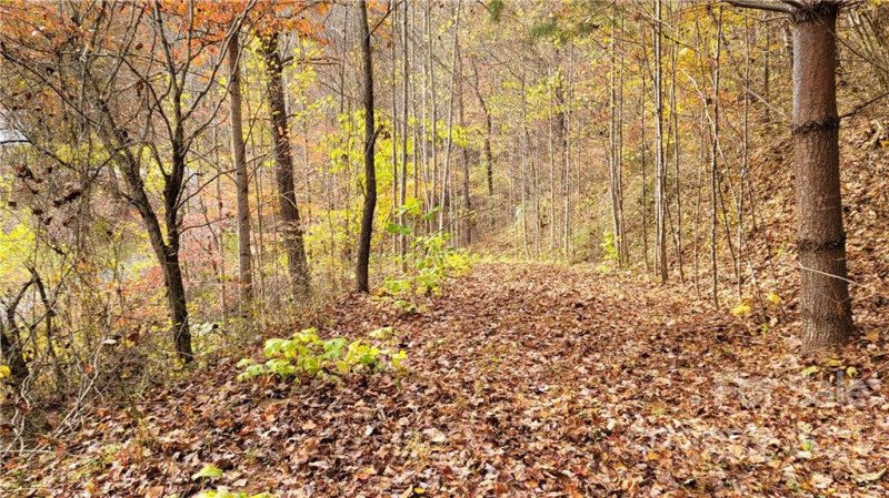 Property image 4 at 22 A Campbell Mountain Drive, Waynesville, NC 28786