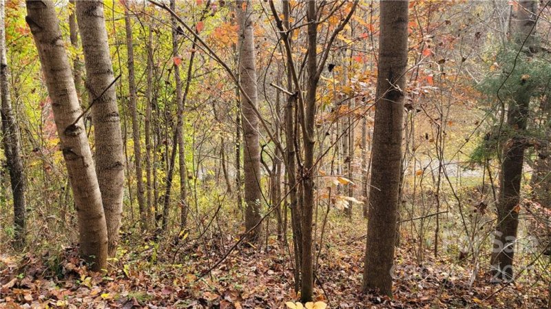 Property image 5 at 22 A Campbell Mountain Drive, Waynesville, NC 28786