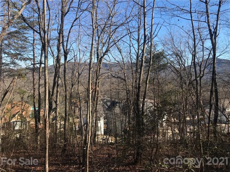 Property image 3 at Tbd Sussex Court, Black Mountain, NC 28711
