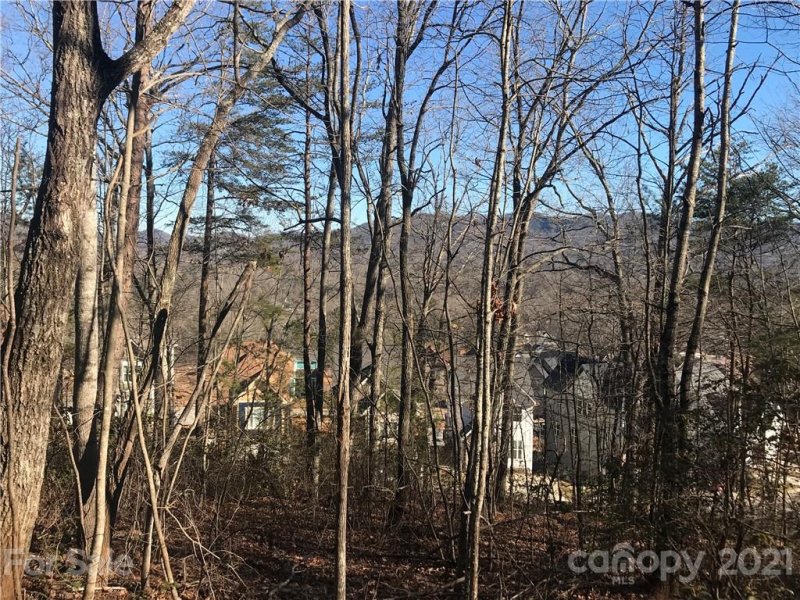 Property image 4 at Tbd Sussex Court, Black Mountain, NC 28711