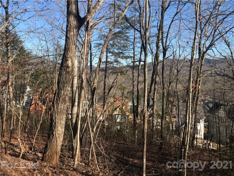 Property image 5 at Tbd Sussex Court, Black Mountain, NC 28711
