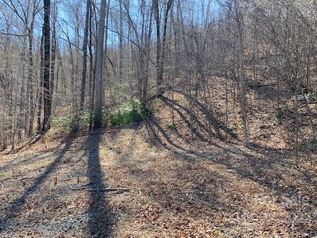 Property image 2 at Lot 34 Clear Creek Trail, Lake Lure, NC 28746