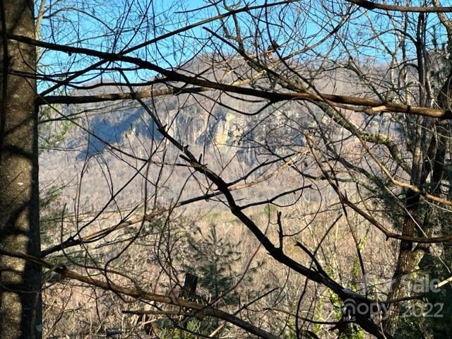 Property image 3 at Lot 34 Clear Creek Trail, Lake Lure, NC 28746