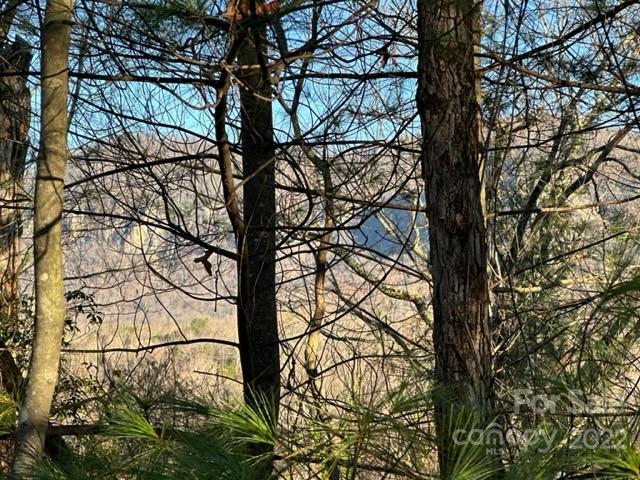 Property image 4 at Lot 34 Clear Creek Trail, Lake Lure, NC 28746