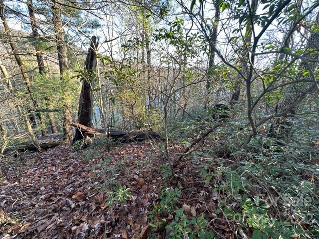 Property image 5 at Lot 34 Clear Creek Trail, Lake Lure, NC 28746