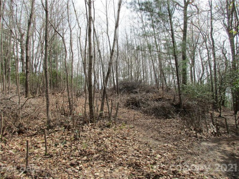 Property image 2 at 00 Sunny Ridge Road, Hendersonville, NC 28739