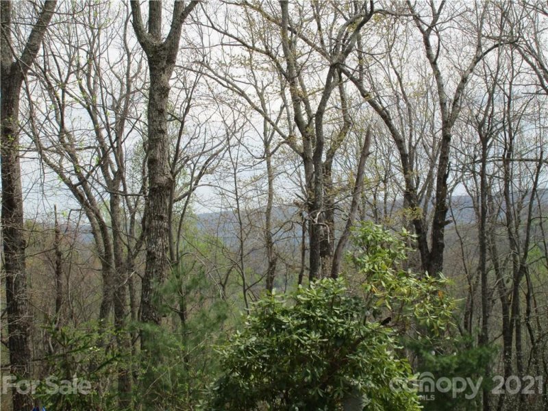 Property image 5 at 00 Sunny Ridge Road, Hendersonville, NC 28739