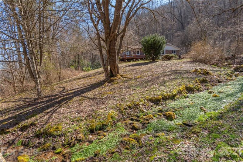 Property image 3 at 369 Echo Drive, Waynesville, NC 28786