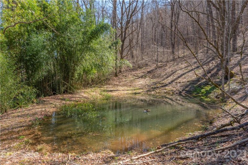 Property image 4 at 369 Echo Drive, Waynesville, NC 28786