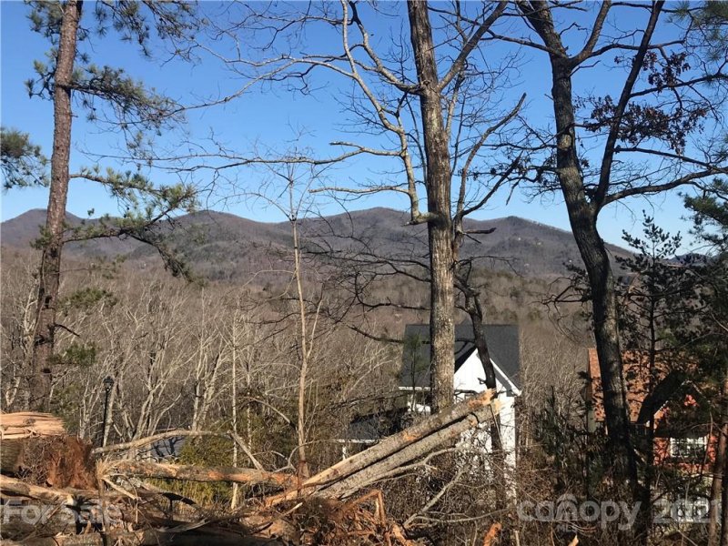Property image 3 at 69 Sussex Court, Black Mountain, NC 28711