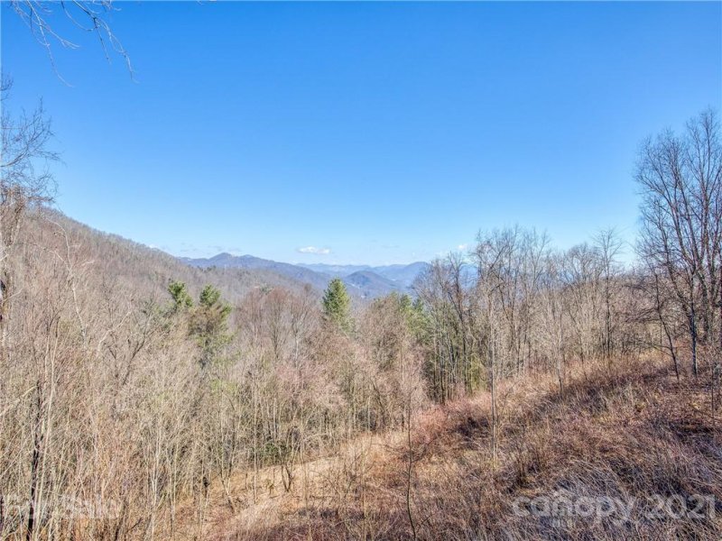 Property image 5 at 1463 Apple Creek Road, Waynesville, NC 28786