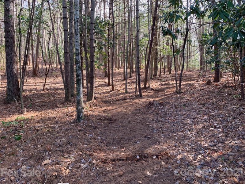 Property image 2 at Lot 132 Eagle Lake Drive, Brevard, NC 28712