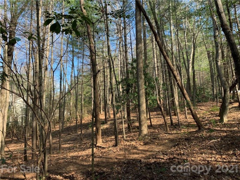 Property image 3 at Lot 132 Eagle Lake Drive, Brevard, NC 28712