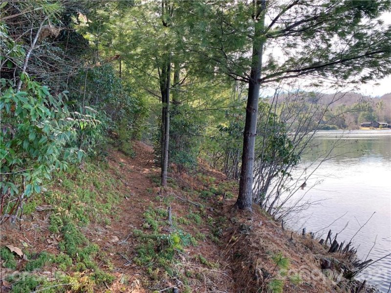 Property image 4 at Lot 132 Eagle Lake Drive, Brevard, NC 28712