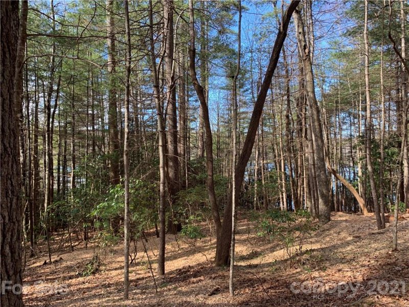 Property image 5 at Lot 132 Eagle Lake Drive, Brevard, NC 28712