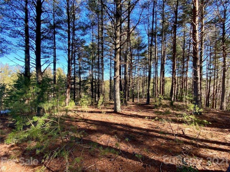 Property image 2 at 5313 Knollview Drive, Morganton, NC 28655