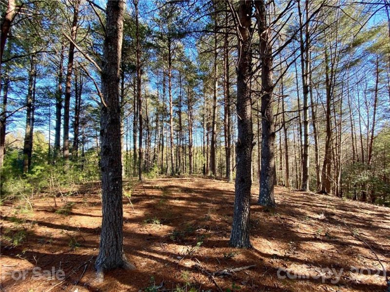 Property image 3 at 5313 Knollview Drive, Morganton, NC 28655