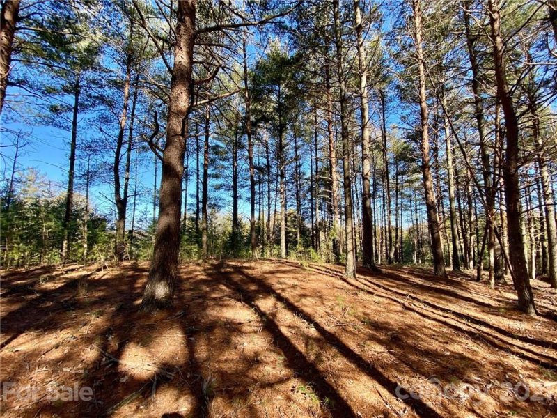 Property image 4 at 5313 Knollview Drive, Morganton, NC 28655
