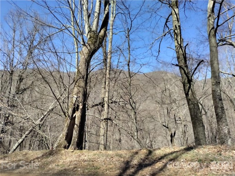 Property image 2 at 199 Weaver Lane, Mars Hill, NC 28754