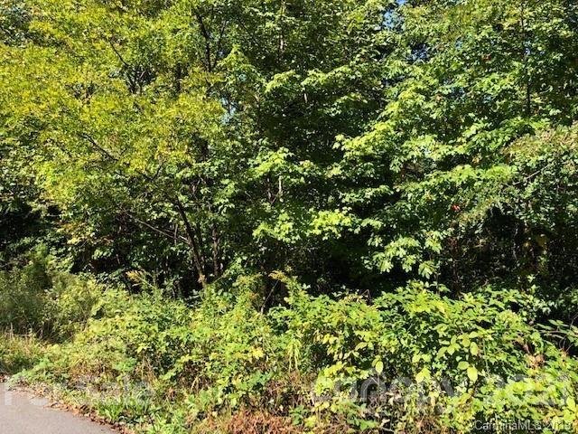 Property image 2 at 10 Angler Trail, Asheville, NC 28803