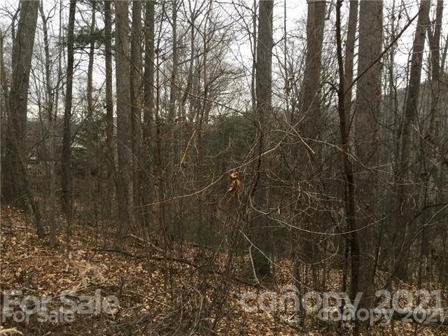 Property image 3 at 10 Angler Trail, Asheville, NC 28803