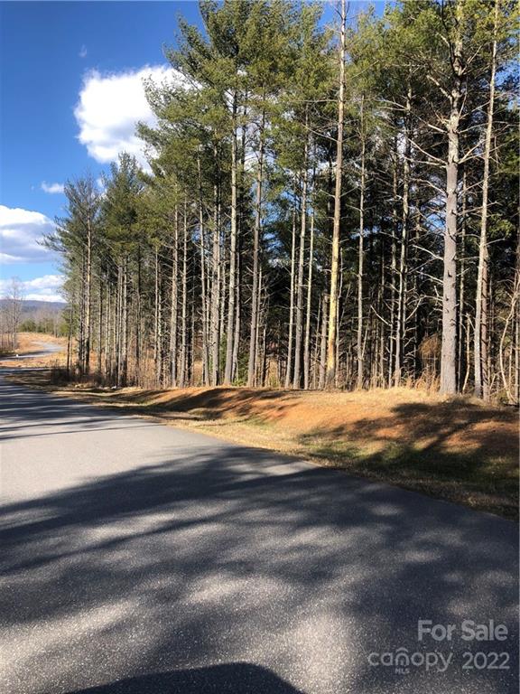 Property image 2 at 597 Peninsula Reserve Road, Nebo, NC 28761