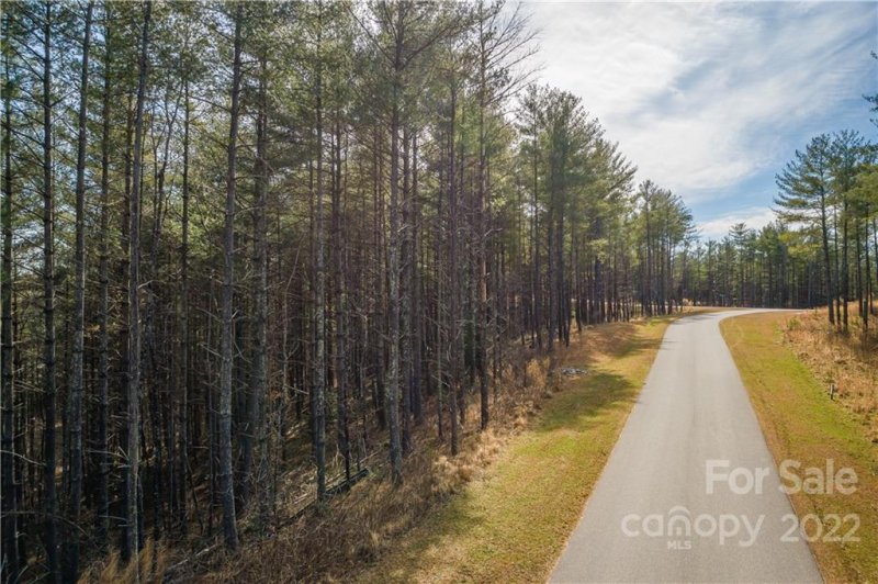 Property image 5 at 597 Peninsula Reserve Road, Nebo, NC 28761