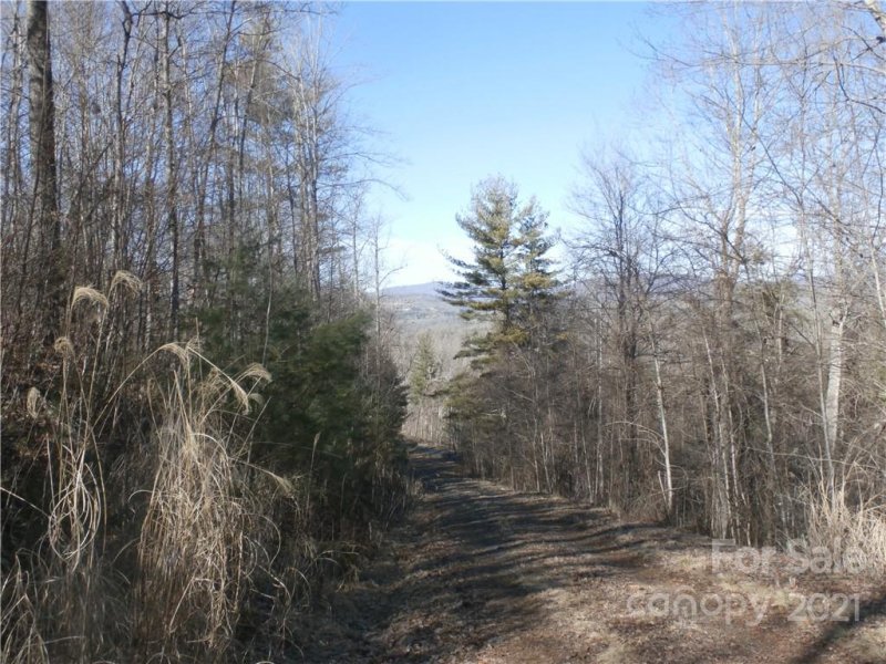 Property image 5 at Tbd Six Springs Ridge Road, Spruce Pine, NC 28777