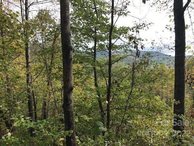 Property image 2 at Tbd Pinnacle Drive, Black Mountain, NC 28711