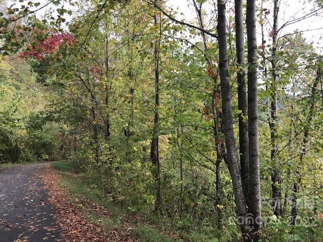 Property image 5 at Tbd Pinnacle Drive, Black Mountain, NC 28711