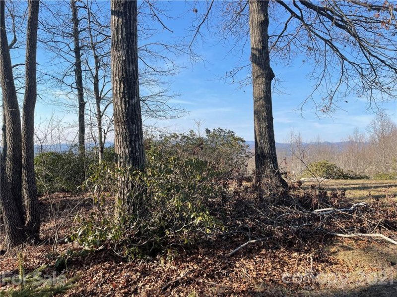 Property image 2 at Tbd Panther Run Road, Brevard, NC 28712