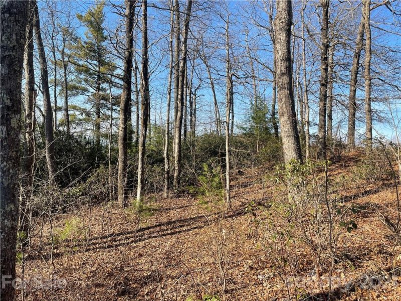 Property image 4 at Tbd Panther Run Road, Brevard, NC 28712