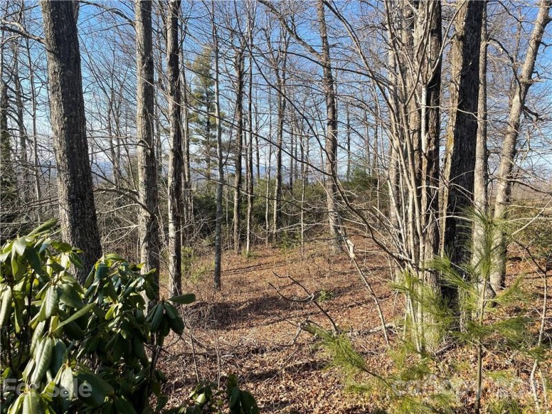 Property image 5 at Tbd Panther Run Road, Brevard, NC 28712