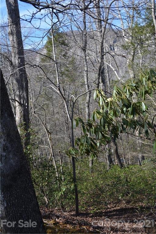 Property image 2 at 0 Mintwood Court, Lake Lure, NC 28746