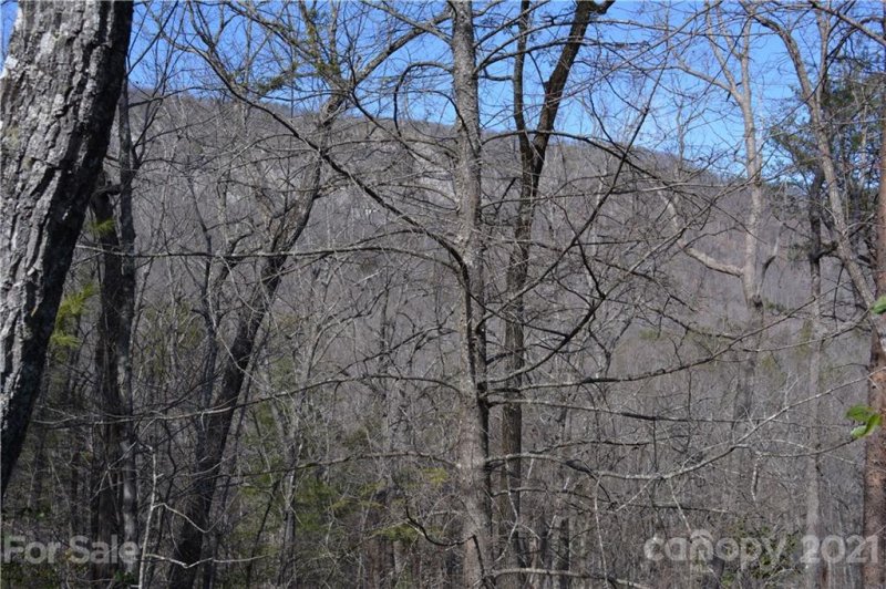 Property image 3 at 0 Mintwood Court, Lake Lure, NC 28746