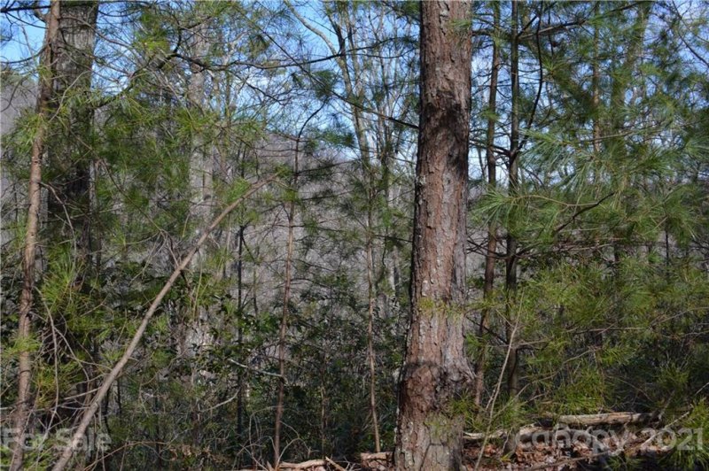 Property image 4 at 0 Mintwood Court, Lake Lure, NC 28746