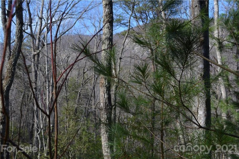 Property image 2 at 0 Mintwood Court, Lake Lure, NC 28746