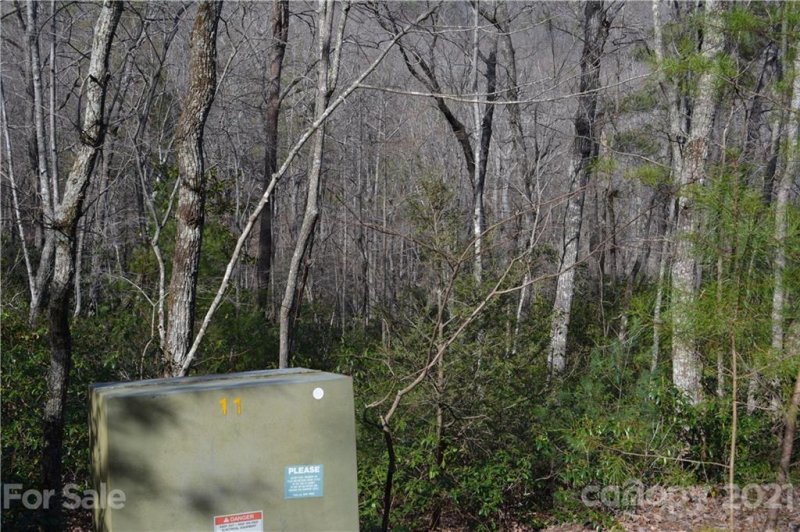 Property image 4 at 0 Mintwood Court, Lake Lure, NC 28746