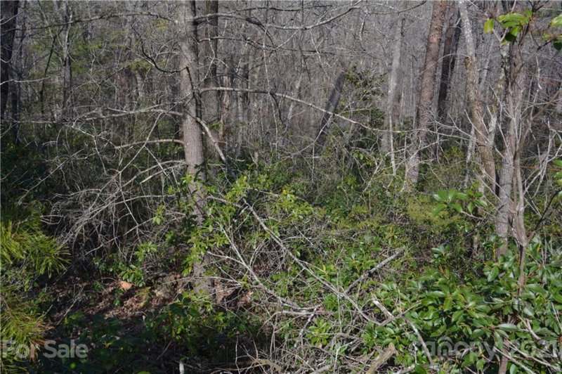 Property image 5 at 0 Mintwood Court, Lake Lure, NC 28746