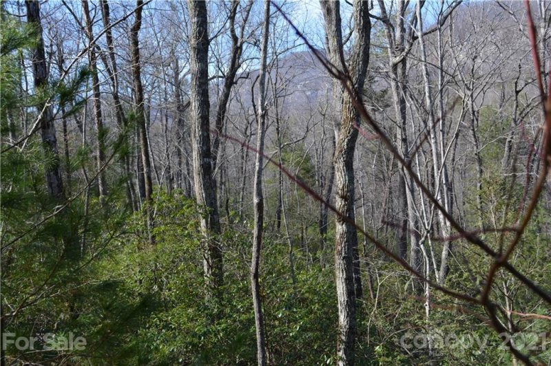 Property image 3 at 0 Mintwood Court, Lake Lure, NC 28746