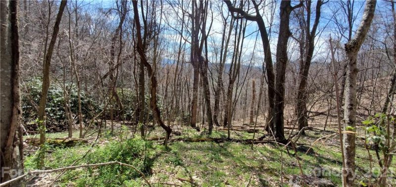 Property image 3 at Tbd Cool Water Trail, Clyde, NC 28786