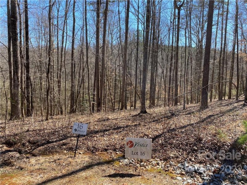 Property image 2 of 000 Rambling Creek Road in VISTA AT THE RIVERBANK, Tryon, NC 28782