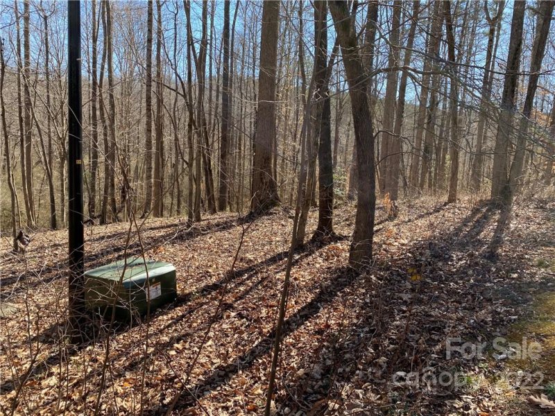 Property image 4 of 000 Rambling Creek Road in VISTA AT THE RIVERBANK, Tryon, NC 28782