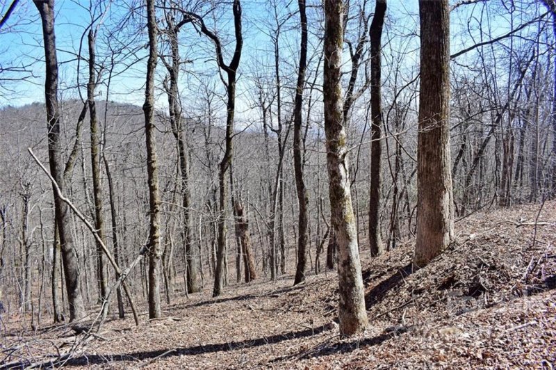 Property image 2 at 0 Trillium Court, Columbus, NC 28722