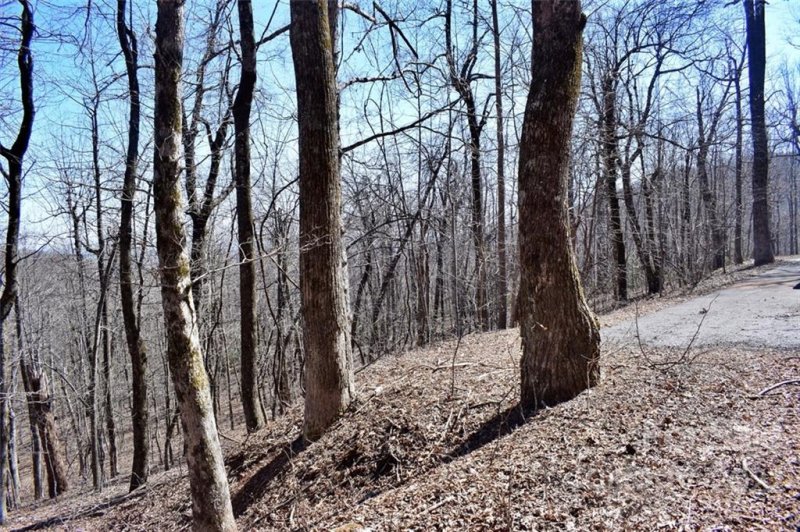 Property image 5 at 0 Trillium Court, Columbus, NC 28722