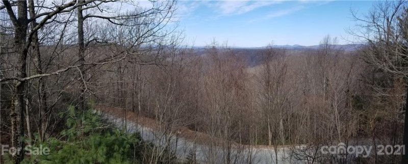 Property image 3 at 25 Little Falls Drive, Tryon, NC 28782