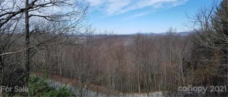 Property image 4 at 25 Little Falls Drive, Tryon, NC 28782