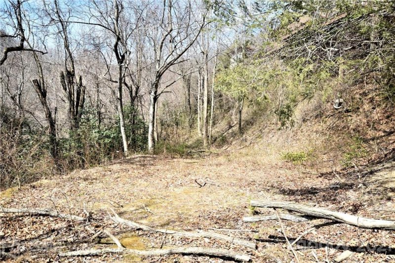 Property image 2 at 00 Silverleaf Circle, Maggie Valley, NC 28751
