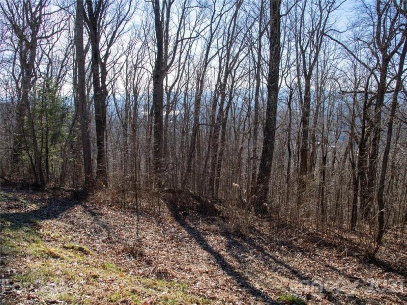 Property image 2 at 138 Old Forest Drive, Asheville, NC 28803